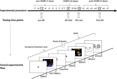 Effects of 15-Day Head-Down Bed Rest on Emotional Time Perception
